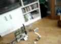 rc truck destroy army