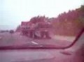 red freightliner fld hauling palm tree on i 95 north georgia