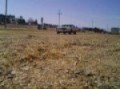 ridiculously loud air horn drive by