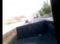 silverado kills a dodge