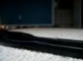 slot it porsche 962s