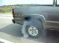suck on my horsepower