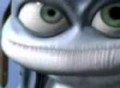 the famous  cool frog