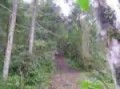 trilha de jeeps gaiolas e motos em papanduva sc