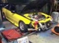 type r dyno