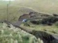 wrc nz 2007