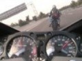 zizel +hayabusa